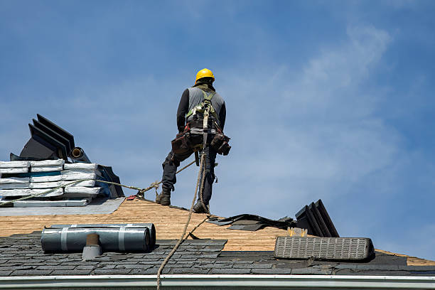 Professional Roofing technician working in Trappe, PA